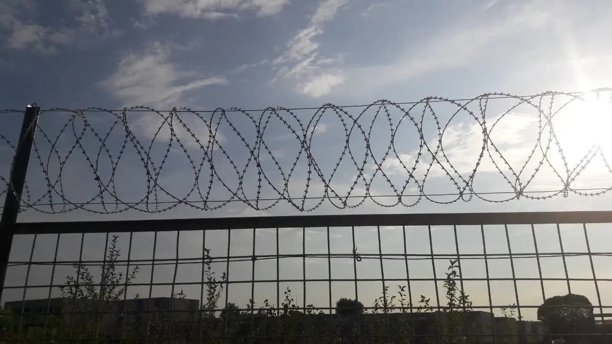 Колючая проволока СББ «Егоза» — выполненный объект, фото 1